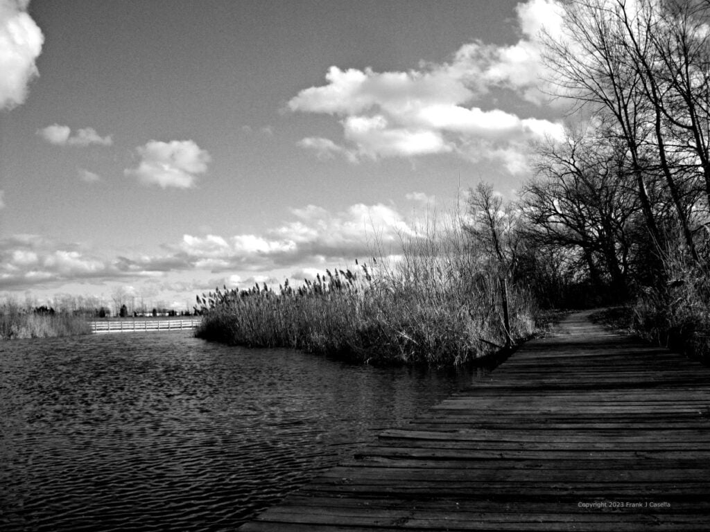 landscape, photography, black and white, frank j casella, america, weather, trees, clouds, water, board walk,