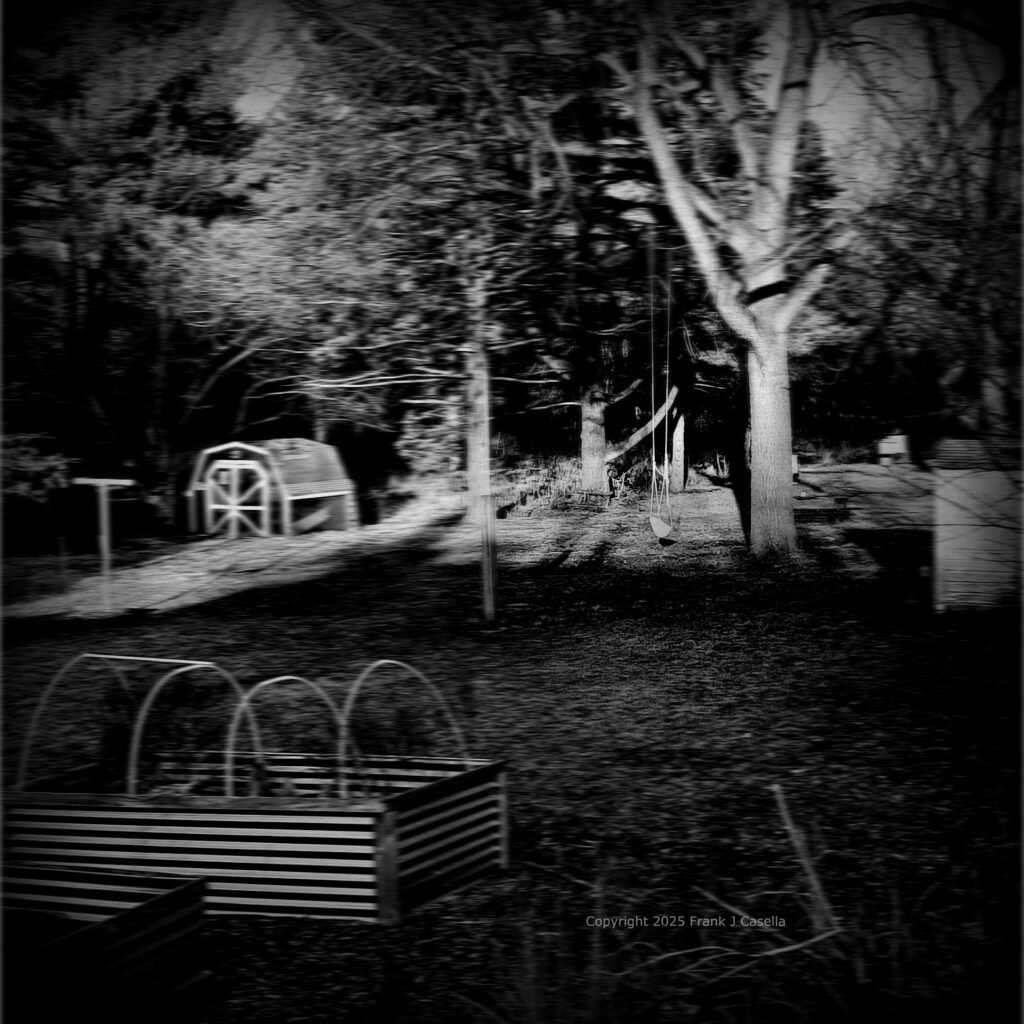 black and white, square format, swing, backyard, shadows and sunlight, memories, frank j casella,